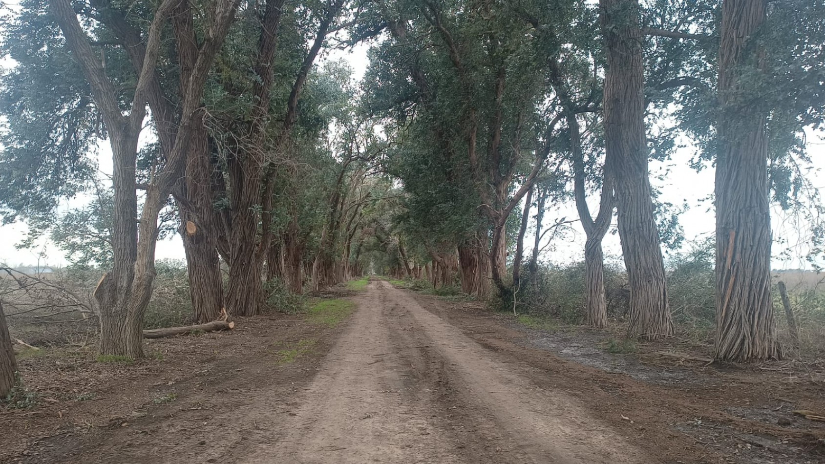 LOTES - "BARRIO PARQUE LOS ROBLES II" - PARADA ROBLES, EXALTACION DE LA CRUZ