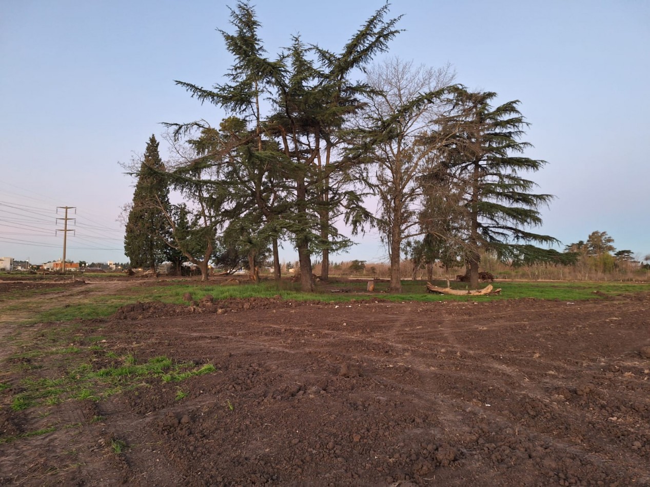 LOTE - "BARRIO PARQUE MATHEU II" - MATHEU, ESCOBAR a metros de la Ruta 25