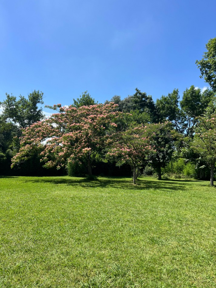 Lotes en Chacras de Teofilo - Trujui - Partido de Moreno