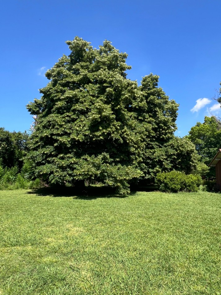 Lotes en Chacras de Teofilo - Trujui - Partido de Moreno