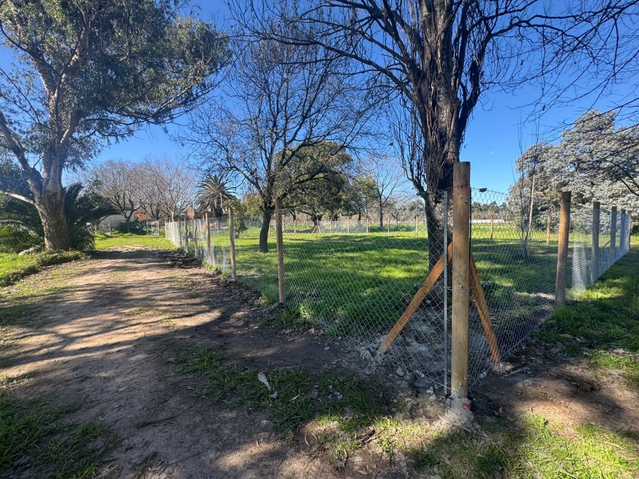 LOTES EN PONTEVEDRA, PARTIDO DE MERLO - FINCA LA MERCEDITA - POSESION INMEDIATA - ESCRITURA INMEDIATA