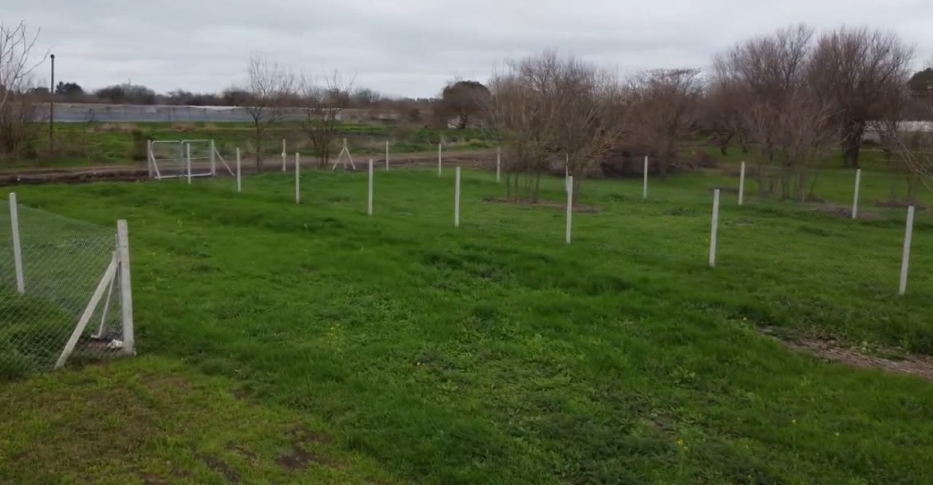 LOTEO NUEVOS HORIZONTES II - ZONA EL PATO, BERAZATEGUI - POSESION INMEDIATA - CON ESCRITURA