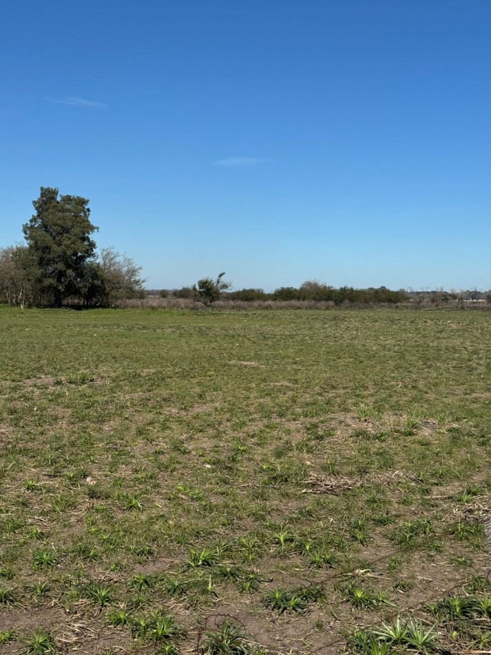 Lotes en Barrio Parque San Francisco - Longchamps - Partido de Almirante Brown