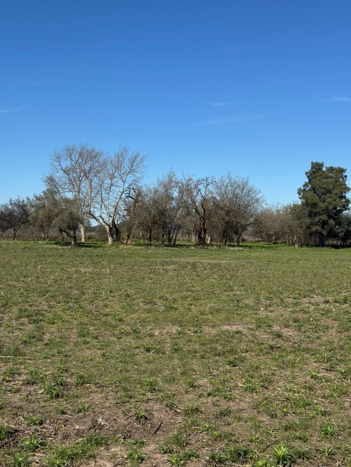 Lotes en Barrio Parque San Francisco - Longchamps - Partido de Almirante Brown