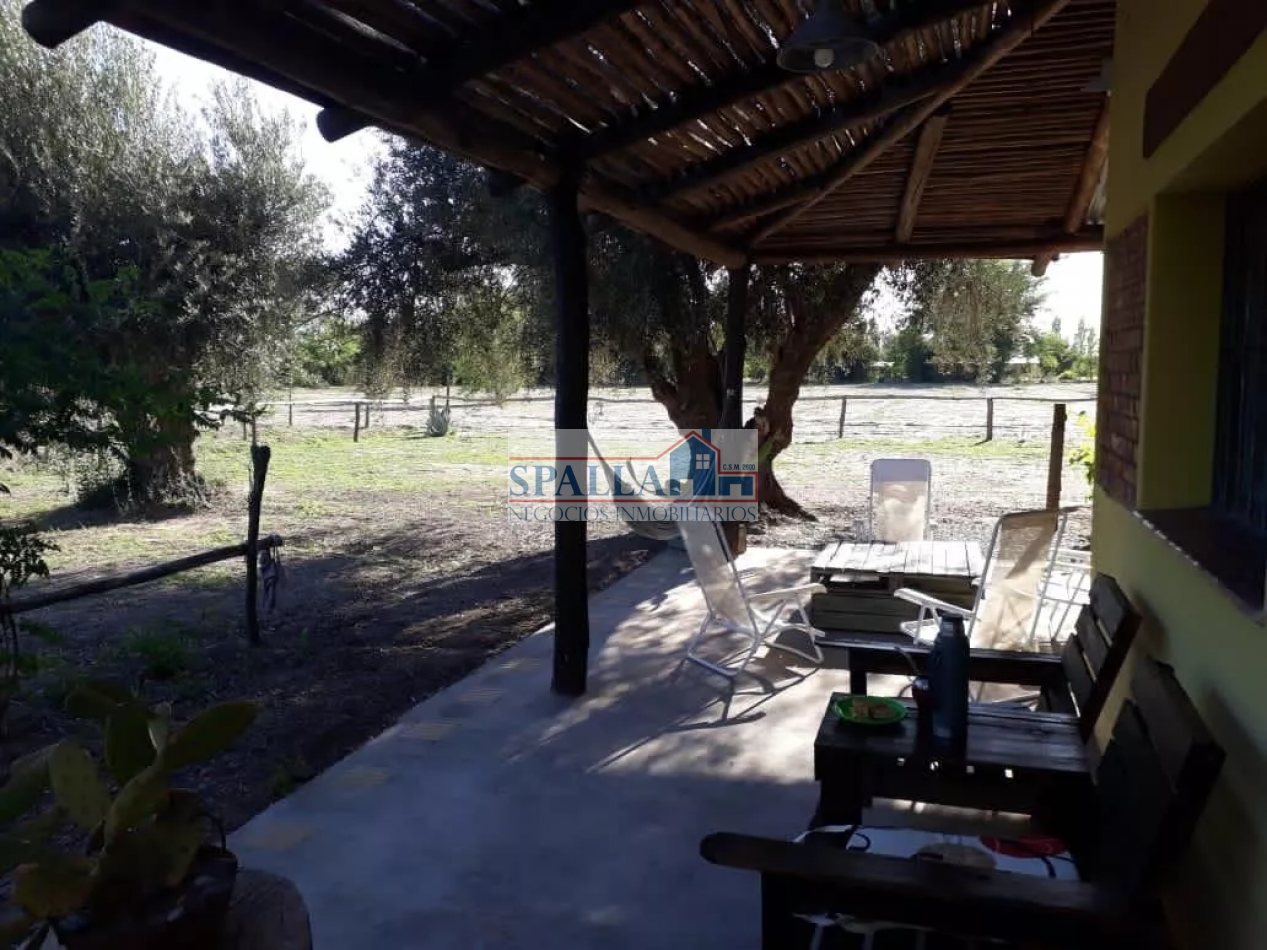 VENTA FINCA 29 HECTAREAS EN SAN RAFAEL MENDOZA - OPORTUNIDAD