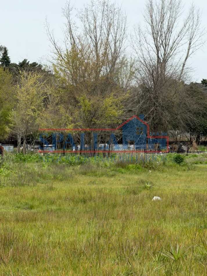 CAMPO EN VENTA - 72.604 M² - GRAN POTENCIAL- CUARTEL V - MORENO