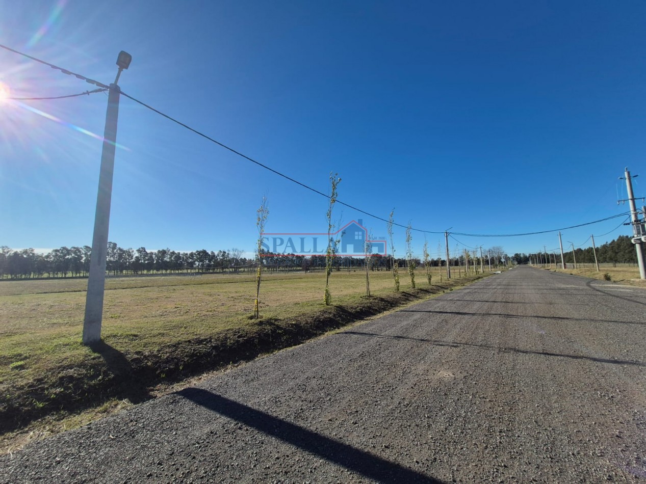 VENTA LOTE BARRIO PRADERAS 2 - ALTOS DE CARDALES 