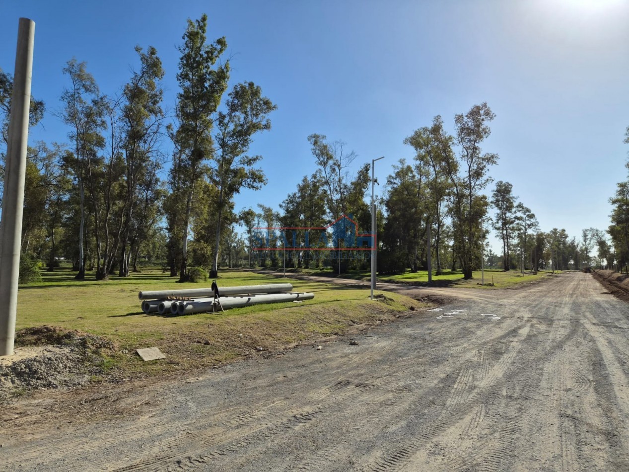 LOTES - "BARRIO SANTA TERESITA" - ZARATE - PREVENTA