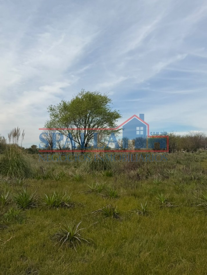 CAMPO EN VENTA - 72.604 M² - GRAN POTENCIAL- CUARTEL V - MORENO