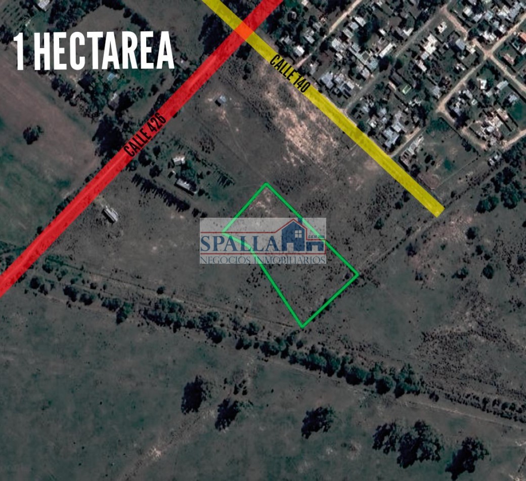 VENTA DE HECTAREA IDEAL INVERSORES EN FRANCISCO SEGUI LA PLATA