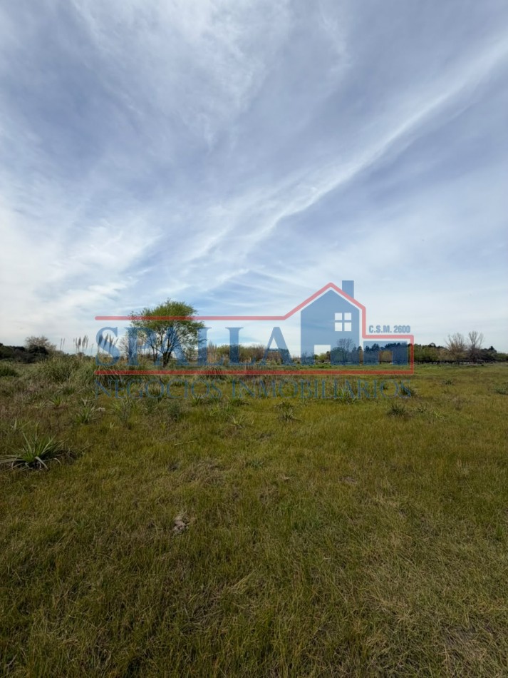 CAMPO EN VENTA - 72.604 M² - GRAN POTENCIAL- CUARTEL V - MORENO