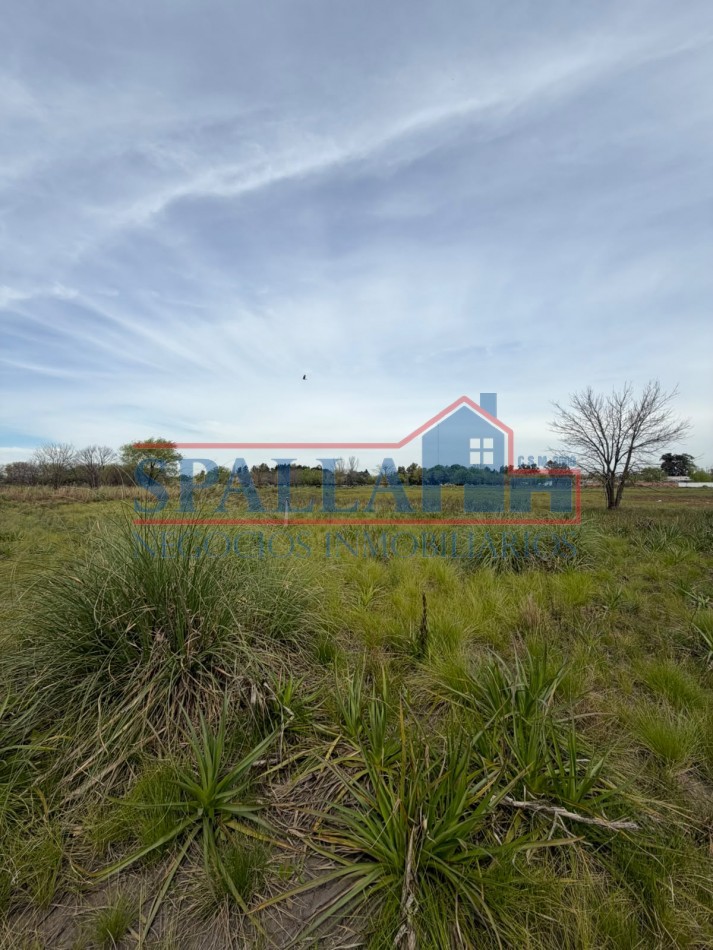 CAMPO EN VENTA - 72.604 M² - GRAN POTENCIAL- CUARTEL V - MORENO