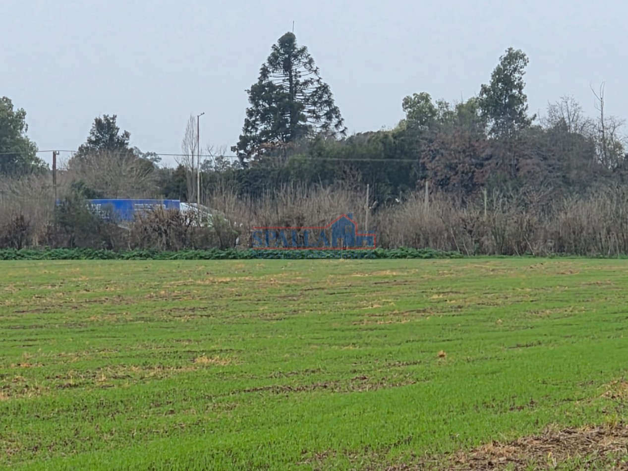 Lotes en Barrio San Benicio - Villa Astolfi sobre Ruta 25 - Partido de Pilar