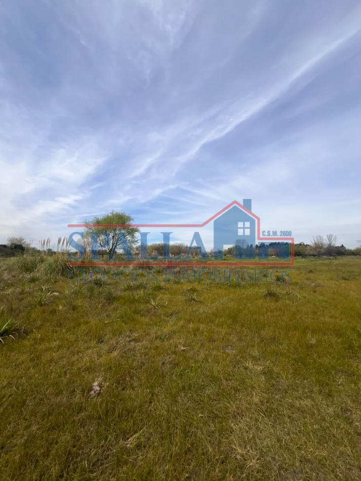 CAMPO EN VENTA - 72.604 M² - GRAN POTENCIAL- CUARTEL V - MORENO