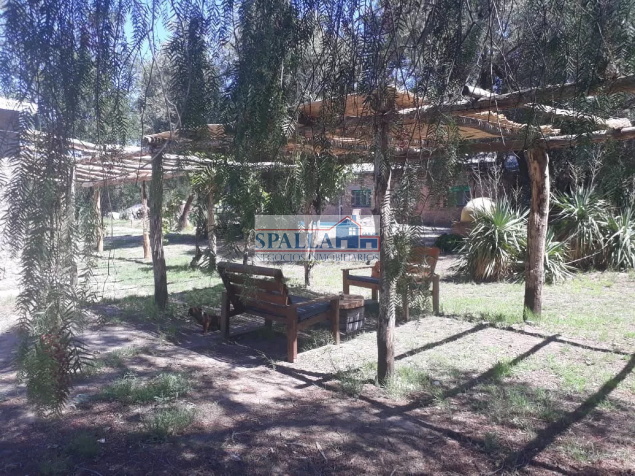 VENTA FINCA 29 HECTAREAS EN SAN RAFAEL MENDOZA - OPORTUNIDAD