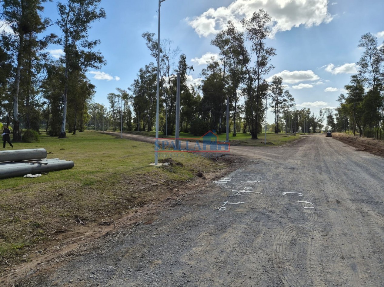 LOTES - "BARRIO SANTA TERESITA" - ZARATE - PREVENTA
