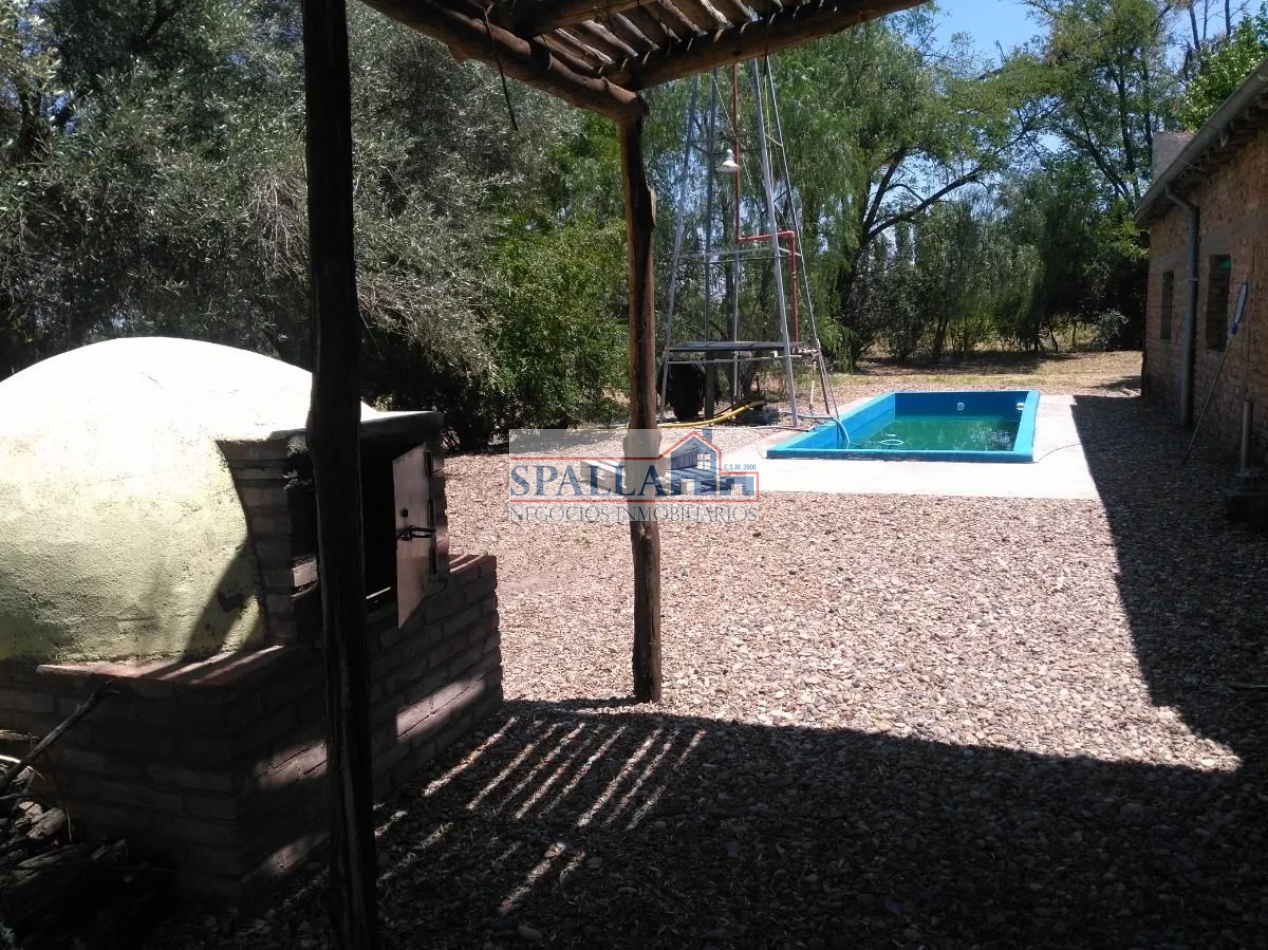 VENTA FINCA 29 HECTAREAS EN SAN RAFAEL MENDOZA - OPORTUNIDAD