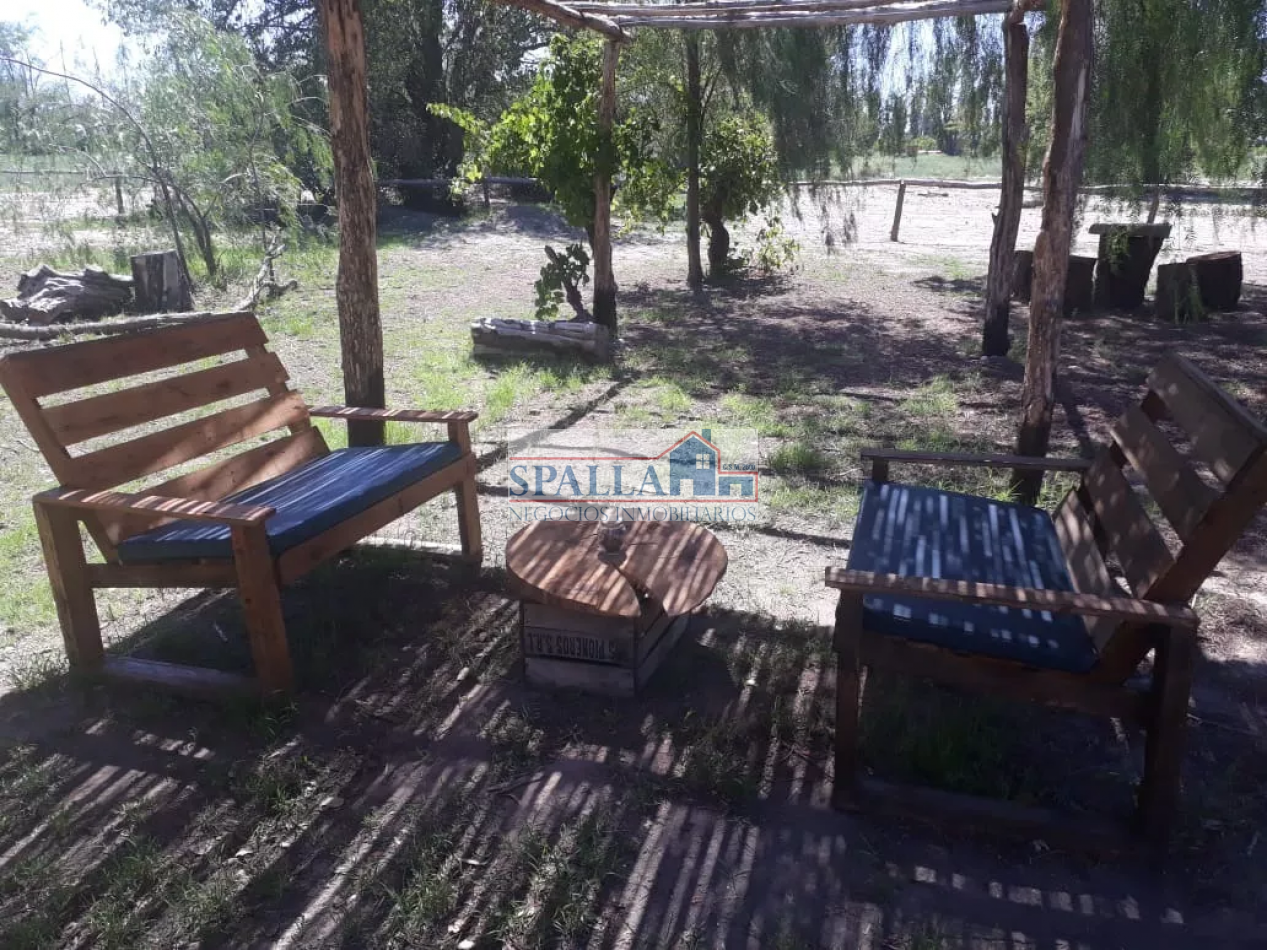 VENTA FINCA 29 HECTAREAS EN SAN RAFAEL MENDOZA - OPORTUNIDAD