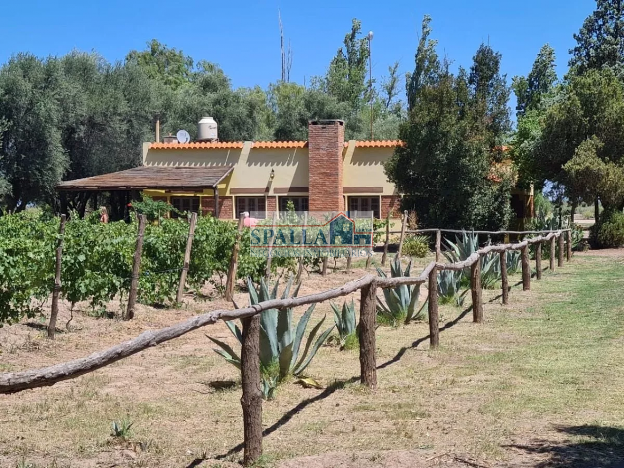 VENTA FINCA 29 HECTAREAS EN SAN RAFAEL MENDOZA - OPORTUNIDAD