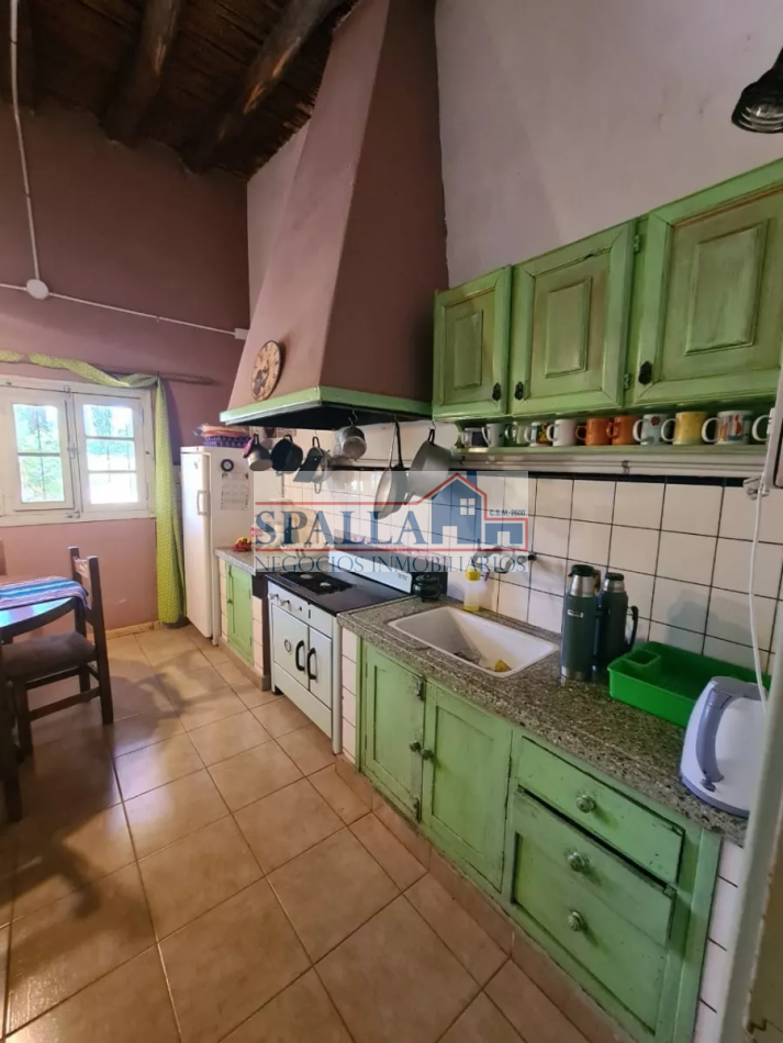 VENTA FINCA 29 HECTAREAS EN SAN RAFAEL MENDOZA - OPORTUNIDAD