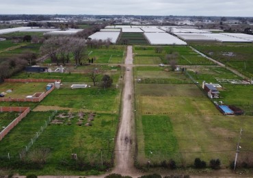 LOTEO NUEVOS HORIZONTES II - ZONA EL PATO, BERAZATEGUI - POSESION INMEDIATA - CON ESCRITURA